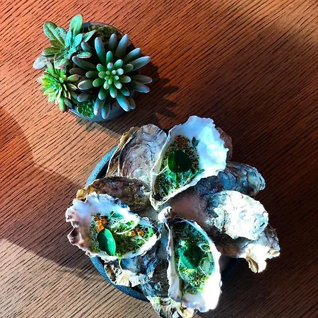 Sophia By Tartuhotels 호텔